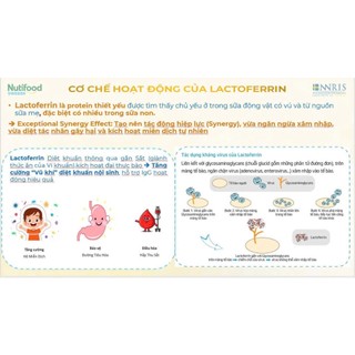 Sữa Bột GrowPLUS+ Colostrum Lactoferrin Nutifood Hỗ Trợ Đề Kháng Và Tiêu Hóa Cho Bé Lon 800g