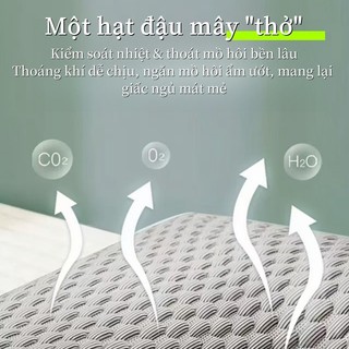 Ruột gối băng lạnh Mềm mại Thoáng khí Bông trắng tinh khiết Kích thước 50x70cm