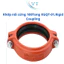 Khớp nối cứng XGQT-01 – Rigid Coupling từ DN25 đến DN400 (5 cái)