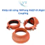 Khớp nối cứng XGQT-01 – Rigid Coupling từ DN25 đến DN400 (5 cái)