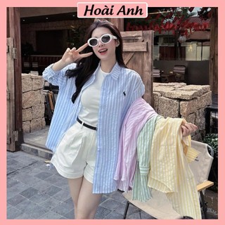 Set Bộ Đồ Nữ 4 Món Áo Sơ Mi Kẻ Sọc Dài Tay Thêu Ngựa Kèm Áo 3 Lỗ Trắng Mix Quần Sooc Đùi Trắng Dây Đai Lưng
