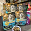 Hạt Cho Mèo S2PET V2 Thêm 50% Topping, Kích Thích Thèm Ăn, Tăng Cân, Phù Hợp Mọi Lứa Tuổi
