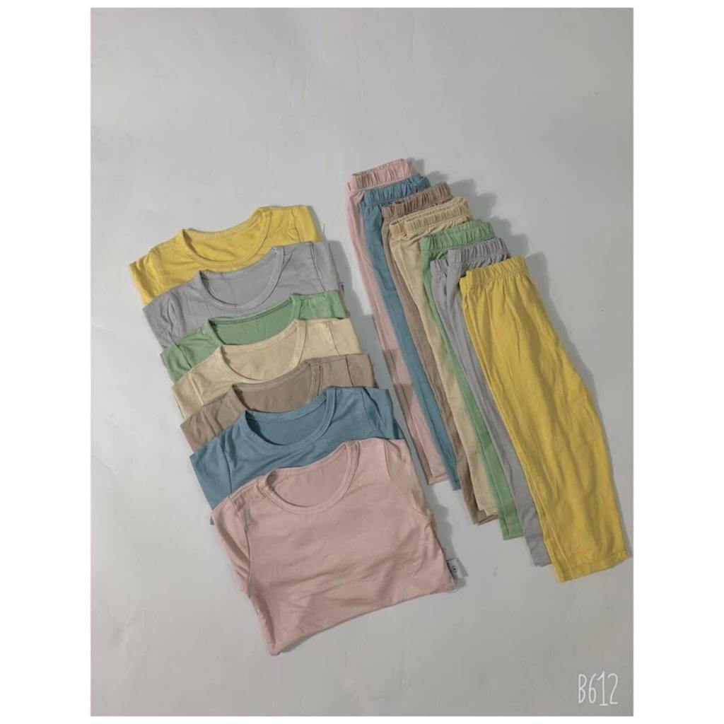 bộ thun lạnh dài tay màu ngẫu nhiên xanh đỏ xám tím đen nâu...