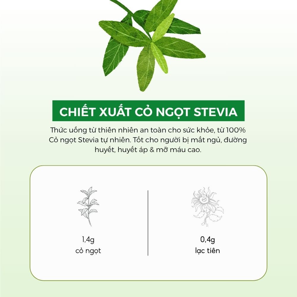 Thiết Kế Của Trà Cỏ Ngọt Mudaru Tiêu Chuẩn