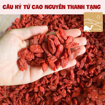 Câu Kỷ Tử Cao Nguyên Thanh Tạng Thượng Hạng (kỷ tử mật) Jiang