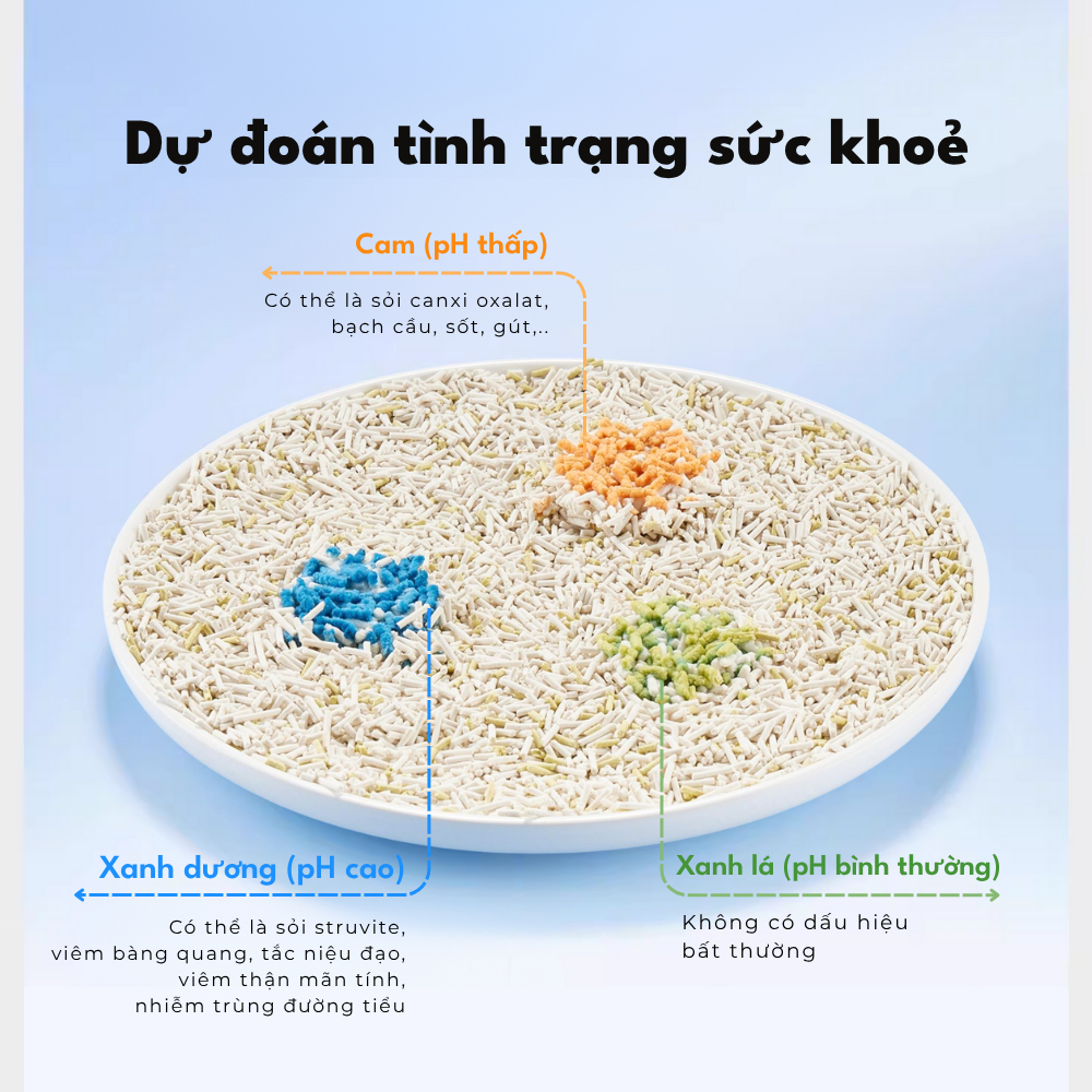 Cát vệ sinh cho mèo, cát mèo PETKIT đo pH trong nước tiểu mèo