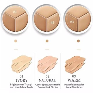 Che khuyết điểm TFIT Cover Up Pro Concealer, kem che khuyết điểm TFIT hũ 3 màu tiện lợi - TFIT