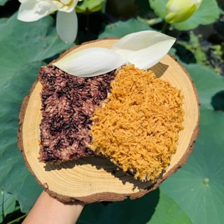 Combo 3 Gói Cơm Cháy Lứt Chà Bông Cung Đình - Đặc Sản Ninh Bình, Túi Giấy 250g