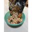 Hạt Mèo S2PET V1 Đạm 32%, Hạt S2 Pet Mix Thịt Đông Khô, Kích Thích Thèm Ăn, Dinh Dưỡng Toàn Diện