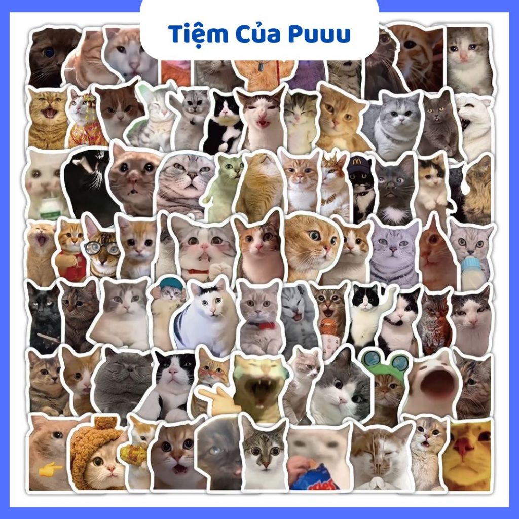 Sticker meme - Giá Tốt, Miễn Phí Vận Chuyển, Đủ Loại | Shopee Việt Nam