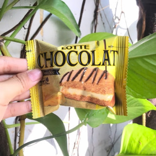 Bánh chocolat vị phô mai tập đoàn Lote Hàn Quốc