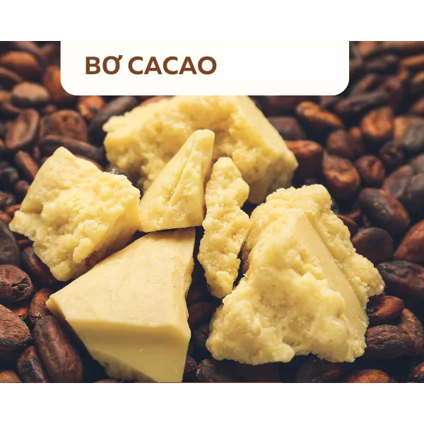 BƠ CA CAO NGUYÊN CHẤT / CACAO BUTTER