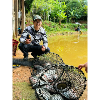 HƯƠNG LIỆU RÔ PHI BỂ B202 - Sản Phẩm Câu Cá Rô Phi Dịch Vụ & Tự nhiên & Rô Phi Lớn