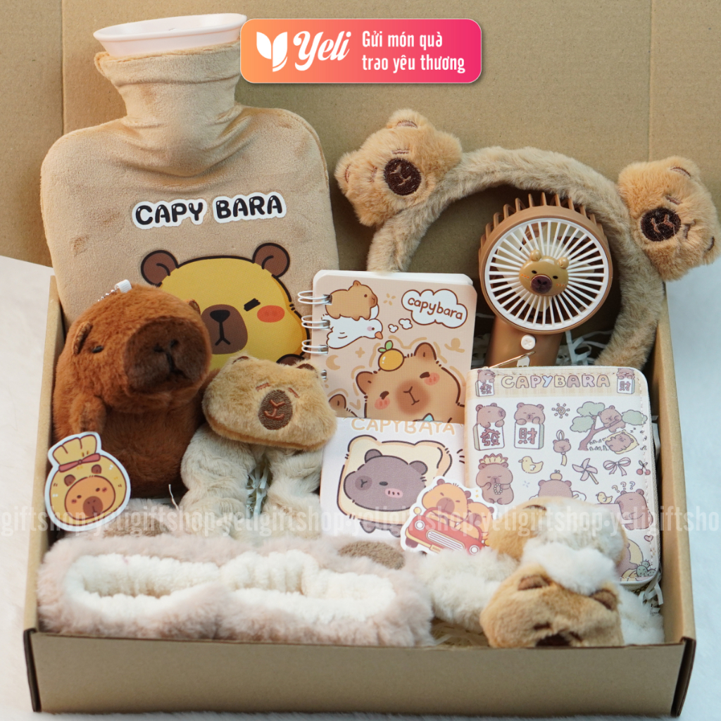 Hộp quà Túi Chườm Capybara tặng sinh nhật người yêu, bạn gái, Set quà túi chườm Capybara nhiều phụ kiện