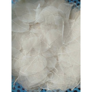 Set 50 xương lá bồ đề tặng 2 lá