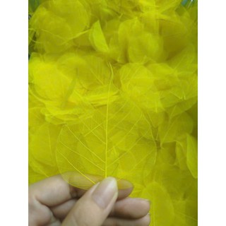 [sz đt] set 10 Xương lá bồ đề nhuộm vàng tự nhiên size vừa điện thoại