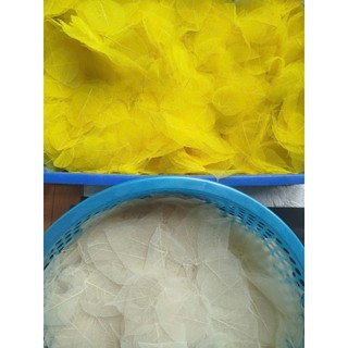 set 10 Xương lá bồ đề các màu sắc xanh lá, đỏ, xanh dương, vàng, trắng