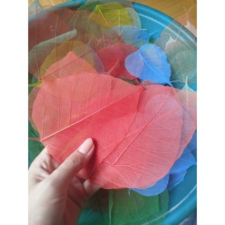 set 10 Xương lá bồ đề các màu sắc xanh lá, đỏ, xanh dương, vàng, trắng