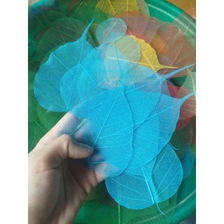 set 10 Xương lá bồ đề các màu sắc xanh lá, đỏ, xanh dương, vàng, trắng