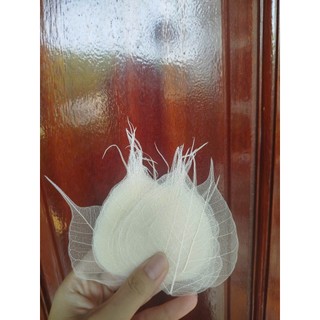 [sz đt] Set 10 xương lá bồ đề tự nhiên size vừa điện thoại