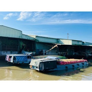 Túi 5kg - ST24 - ngọt cơ, dẻo vừa, thơm - đặc sản Sóc Trăng