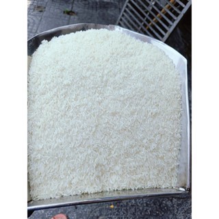 Túi 5kg - ST24 - ngọt cơ, dẻo vừa, thơm - đặc sản Sóc Trăng