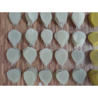 [sz vừa] Set 10 xương lá bồ đề khô tự nhiên size vừa