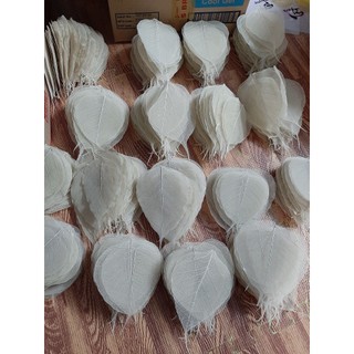 [sz vừa] Set 10 xương lá bồ đề khô tự nhiên size vừa
