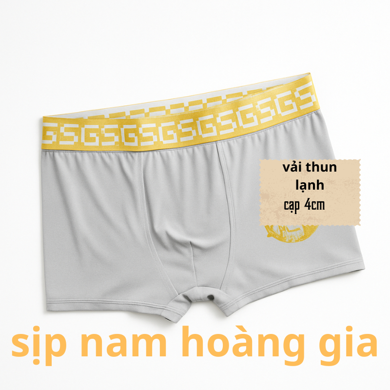 Combo 5 Quần Sịp đùi Nam Hoàng Gia - Thoáng Khí, Co Giãn 4 CHIỀU Đa Màu, chất thun lạnh kháng khuẩn