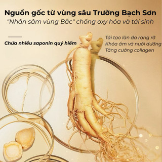 Kem tinh chất dưỡng da nhân sâm giúp trắng da dưỡng ẩm trẻ hóa 60g