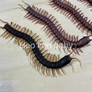 Đồ chơi con rết bằng cao su dẻo