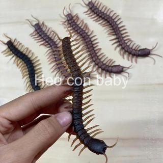 Đồ chơi con rết bằng cao su dẻo