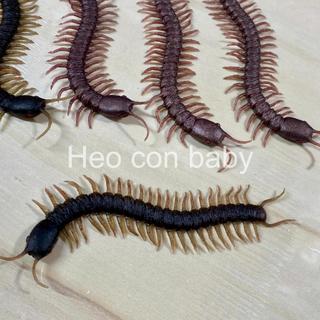 Đồ chơi con rết bằng cao su dẻo