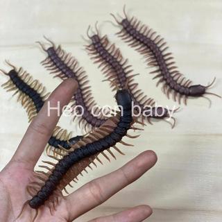 Đồ chơi con rết bằng cao su dẻo