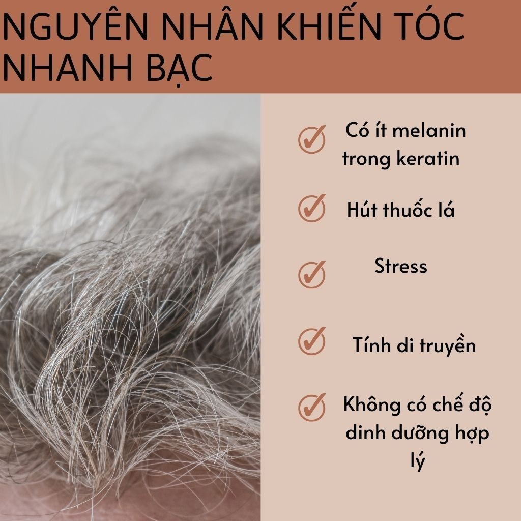 [Hà Thủ Ô] Trà Mọc Tóc, Đen Tóc - Bội Lan Đường - Túi 50 lọc