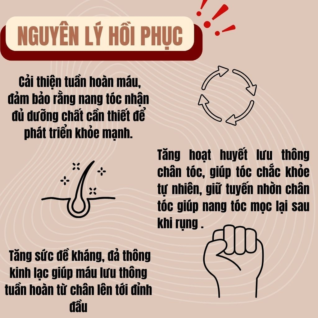 [Hà Thủ Ô] Trà Mọc Tóc, Đen Tóc - Bội Lan Đường - Túi 50 lọc