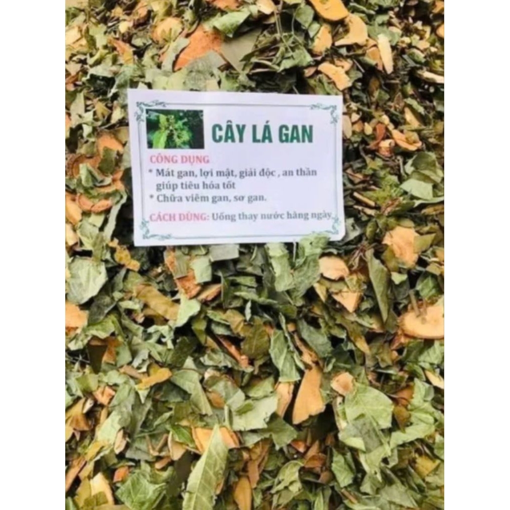 1Kg Cây Lá Gan Rừng ( Sao vàng hạ thổ, thơm mới) hỗ trợ men gan, sơ gan ...