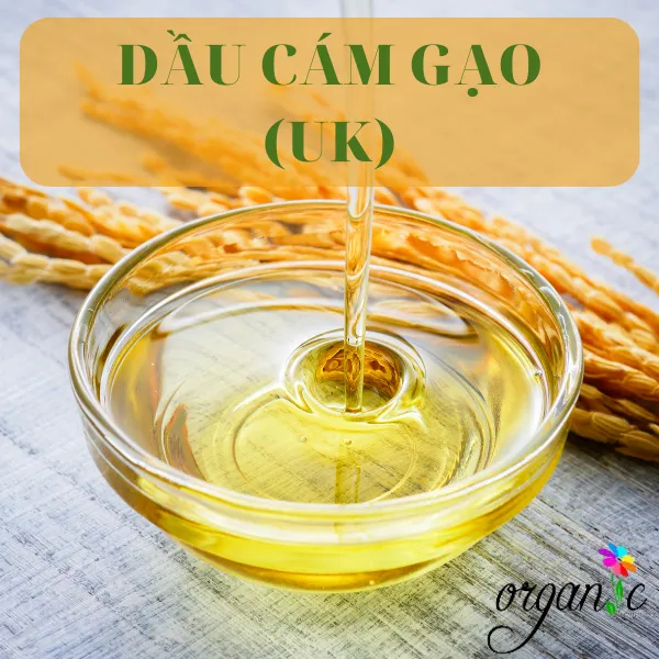 DẦU CÁM GẠO UK - ẤN ĐỘ 25mL 50mL 100mL 250mL