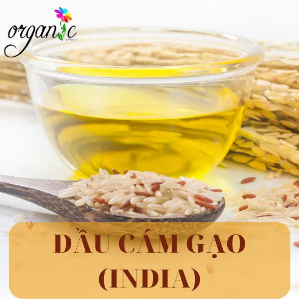 DẦU CÁM GẠO UK - ẤN ĐỘ 25mL 50mL 100mL 250mL