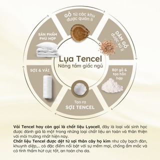 Vỏ áo gối ôm Lụa Tencel Hân Võ 37x100 25x70 họa tiết dễ thương, mát mịn an toàn có dây kéo tiện lợi