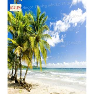 Phông Nền Chụp Ảnh Phong Cảnh Bãi Biển cát trắng, cây dừa xanh mát