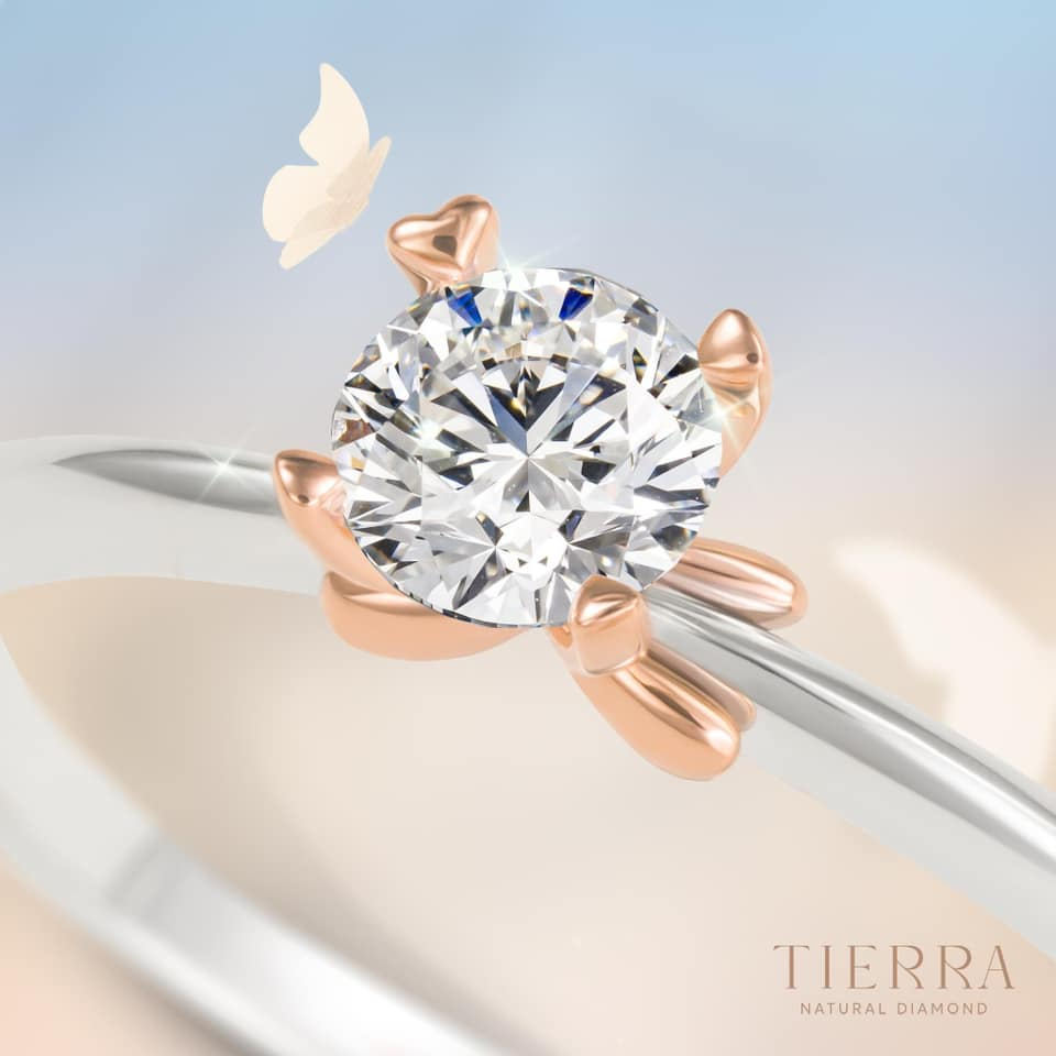 [CHAT TRƯỚC KHI ĐẶT] Nhẫn Cầu Hôn Tierra Lovely Kiss BCH7110 Vàng 10K 14K 18K Đính Đá CZ Thiết Kế Chấu Nơ Nhẹ Nhàng