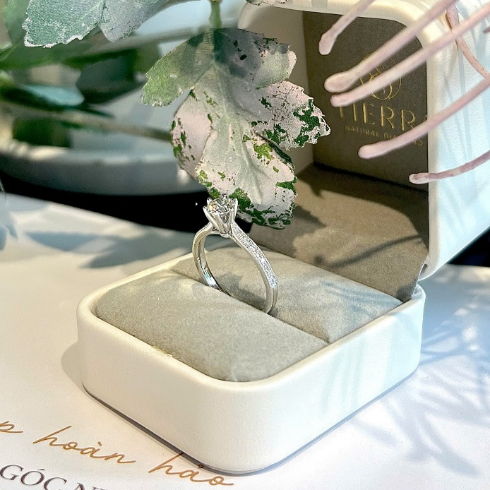 [CHAT TRƯỚC KHI ĐẶT] Nhẫn cầu hôn Tierra True Beauty NCH1204, Vàng 14K/ 18K, Tấm CZ/ KC, Thiết Kế Sang Trọng
