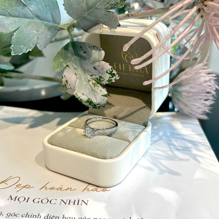 [CHAT TRƯỚC KHI ĐẶT] Nhẫn cầu hôn Tierra True Beauty NCH1204, Vàng 14K/ 18K, Tấm CZ/ KC, Thiết Kế Sang Trọng