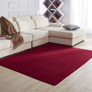 Thảm trải sàn nhung nỉ decor phòng khách sang trọng kích thước 1mx1m6 |JAFUMA|
