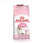 Thức ăn hạt Royal Canin Kitten cho mèo con 4-12 tháng tuổi