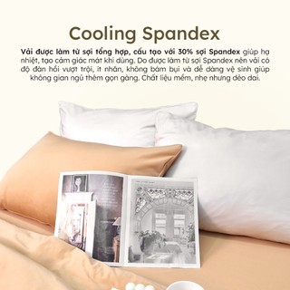 Vỏ gối nằm Lụa Thun Lạnh Spandex 50X70 Hân Võ Bedding trơn màu sang trọng, bao áo gối co giãn, mát mịn
