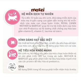[4kg - 10kg] Thức ăn hạt Royal Canin Mother & Babycat cho mèo mẹ và mèo con dưới 4 tháng tuổi
