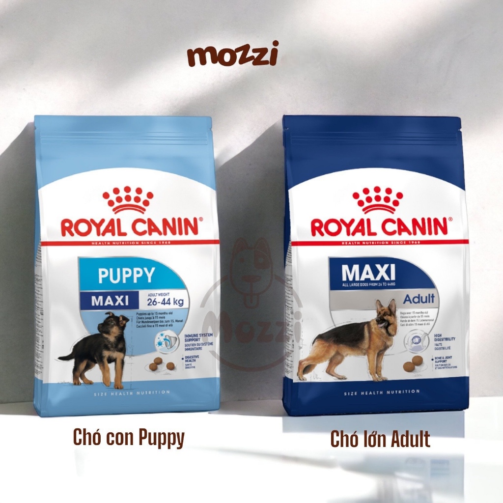 10kg - 16kg] Thức ăn hạt Royal Canin Maxi Puppy Adult cho chó kích