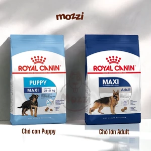 Thức ăn hạt Royal Canin Maxi Puppy Adult cho chó kích thước lớn